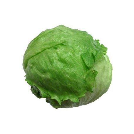 Jégsaláta